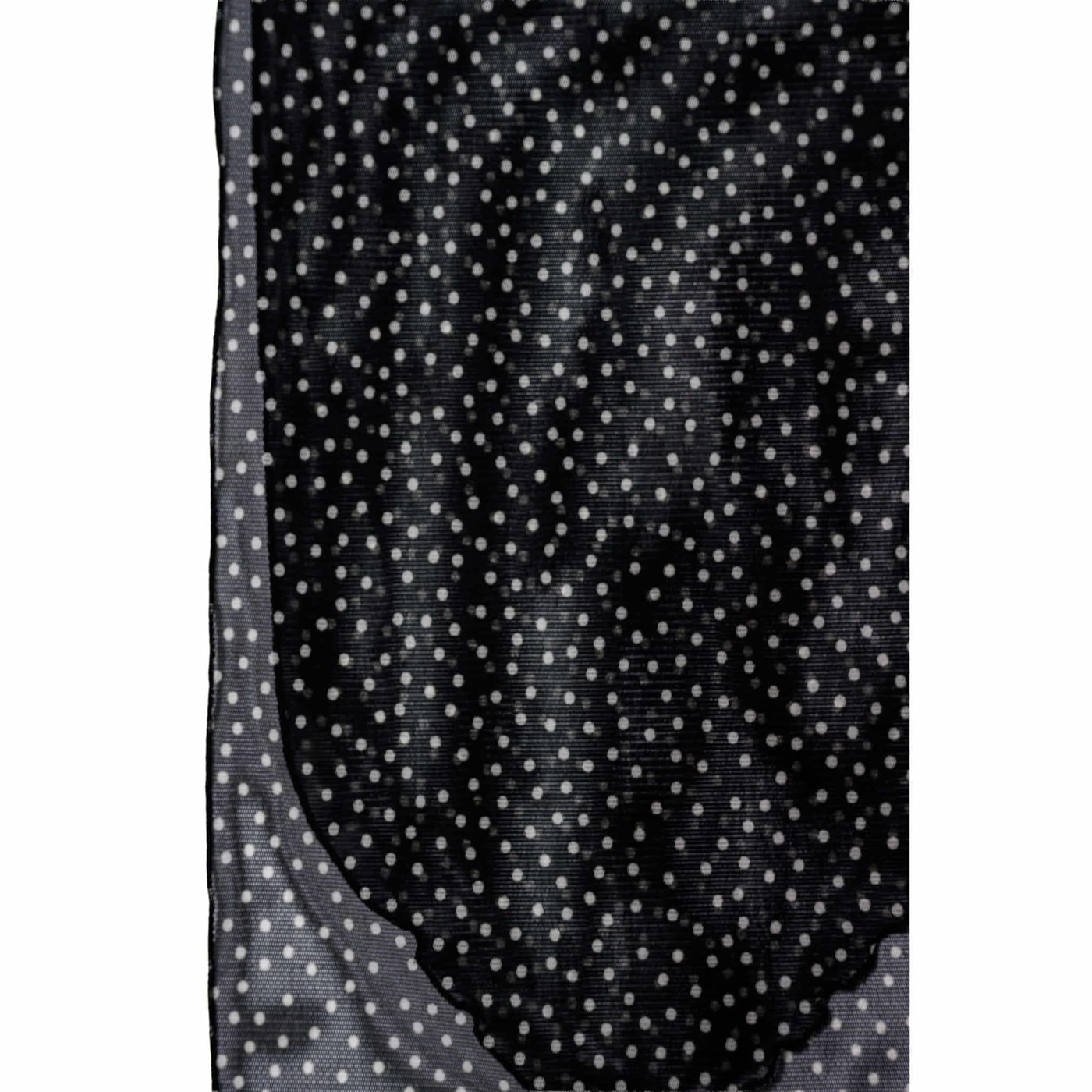 No.204 Black Dot Ostinato 상세 이미지 6