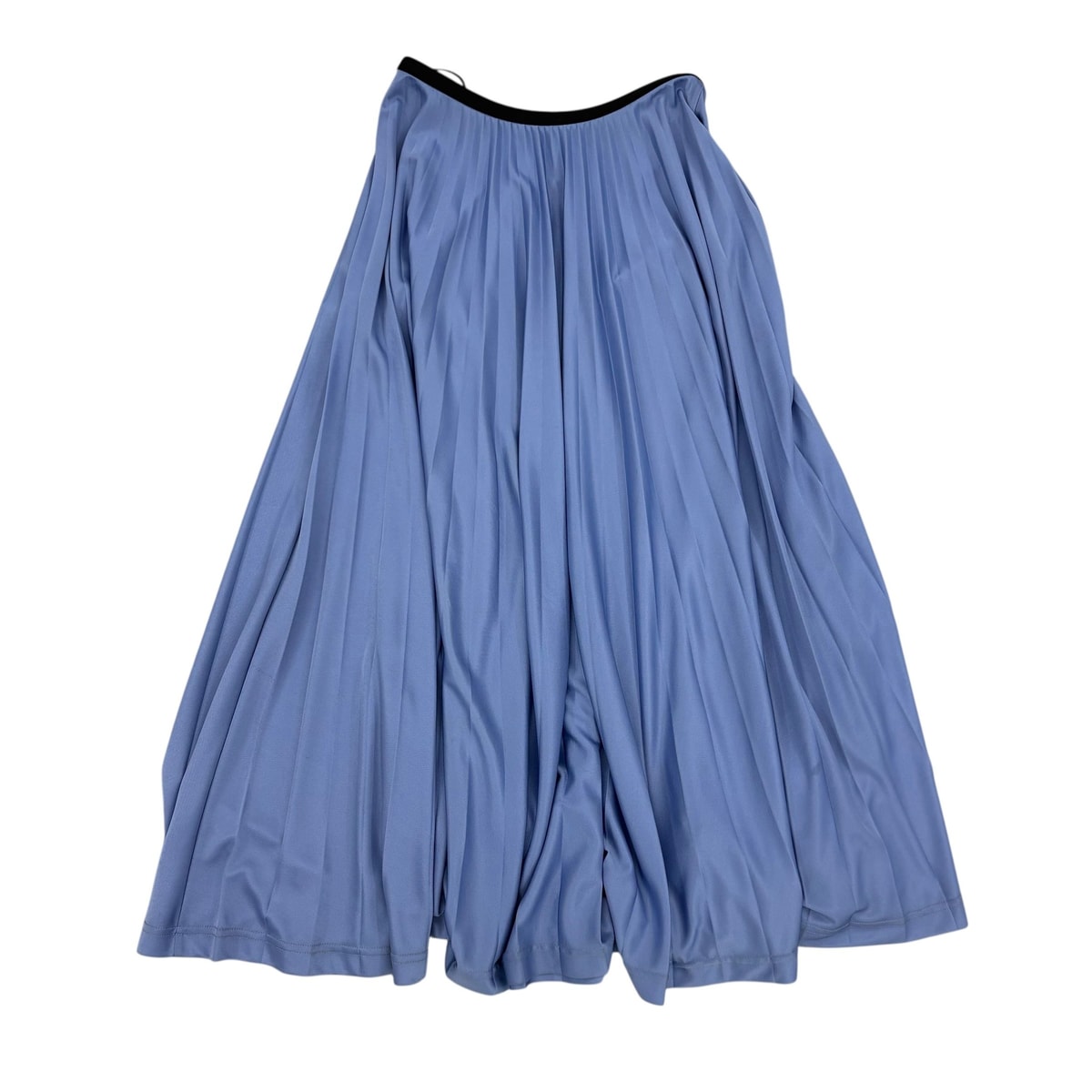 Pleated Maxi Skirt