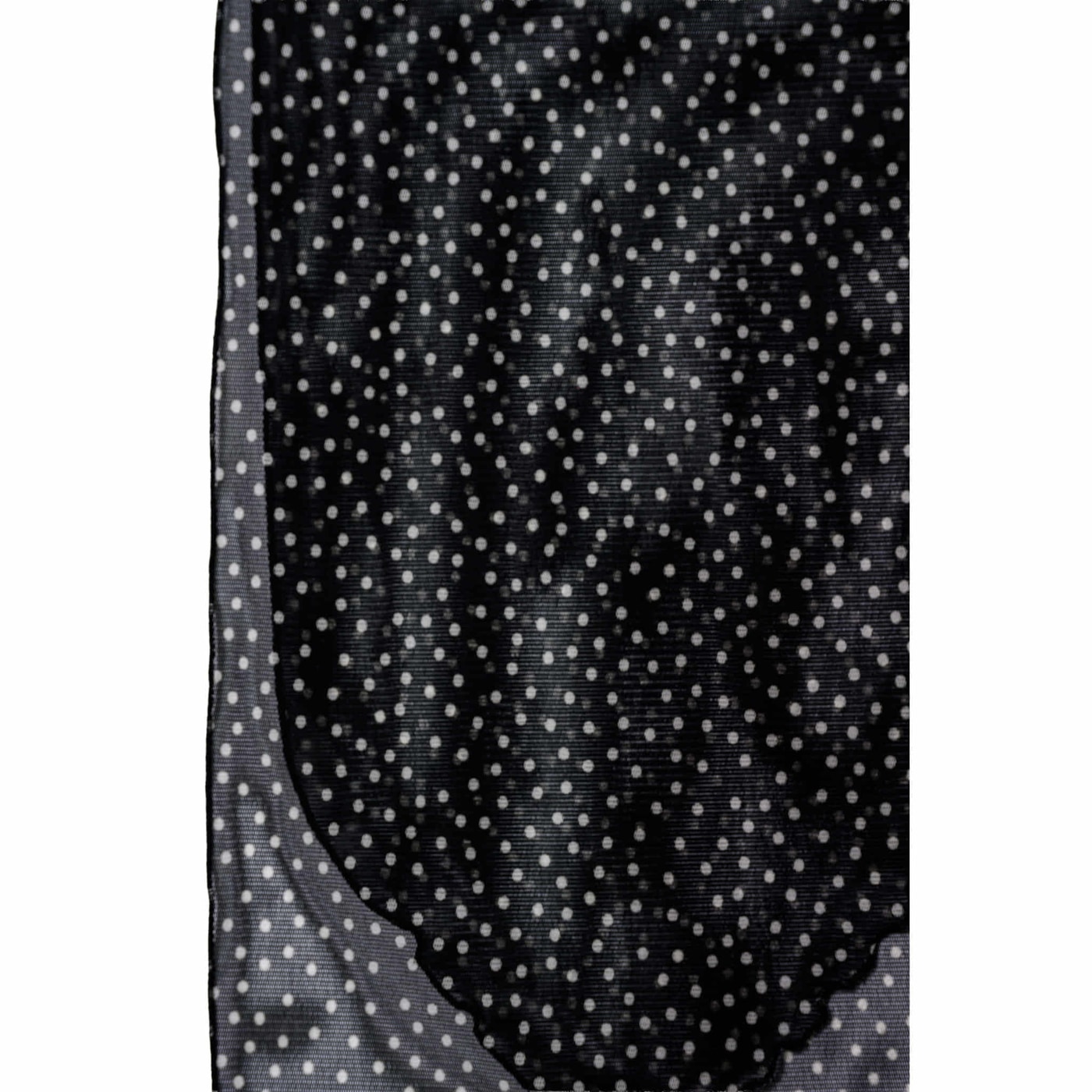 No.204 Black Dot Ostinato